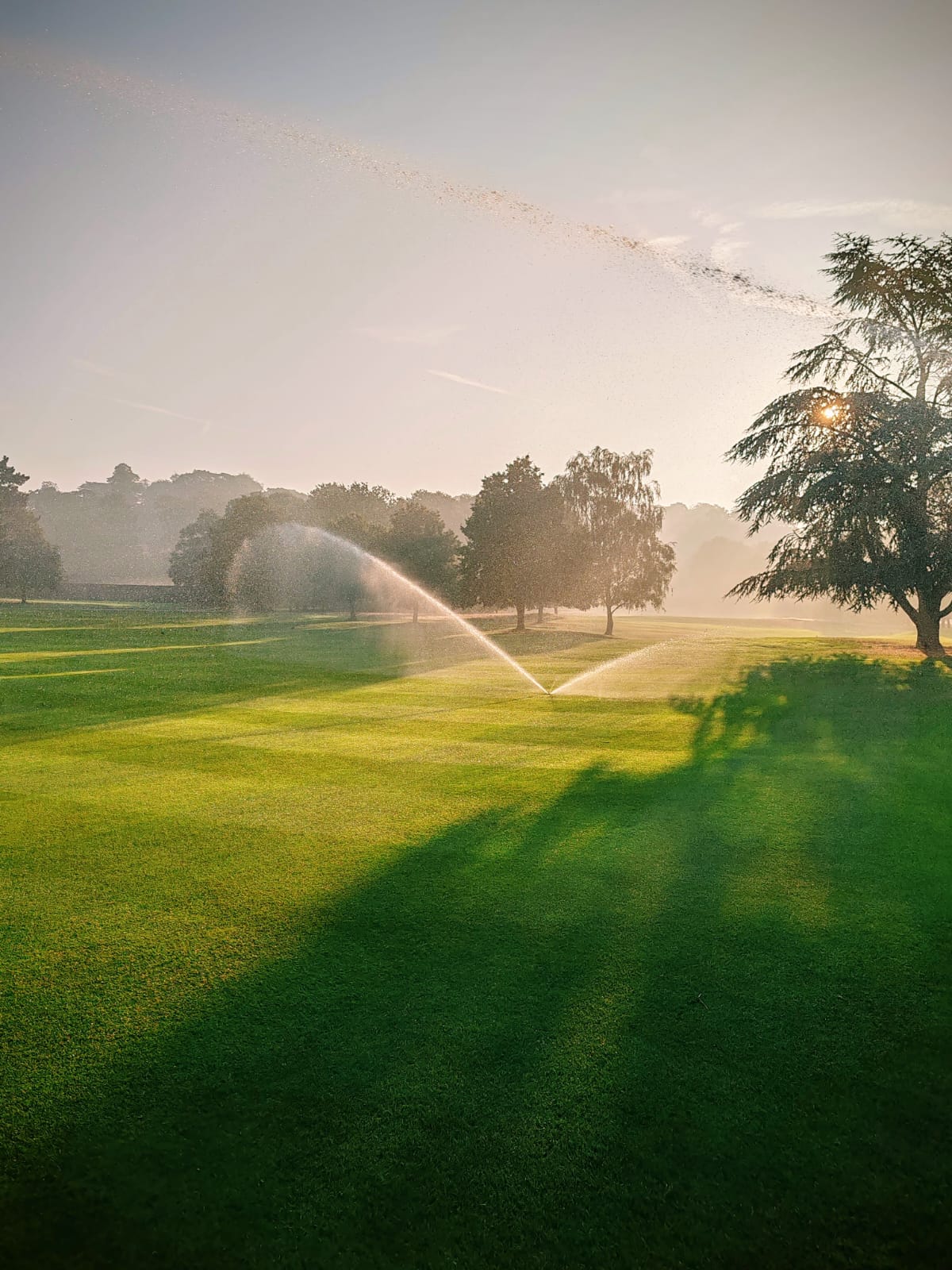 Sprinklers