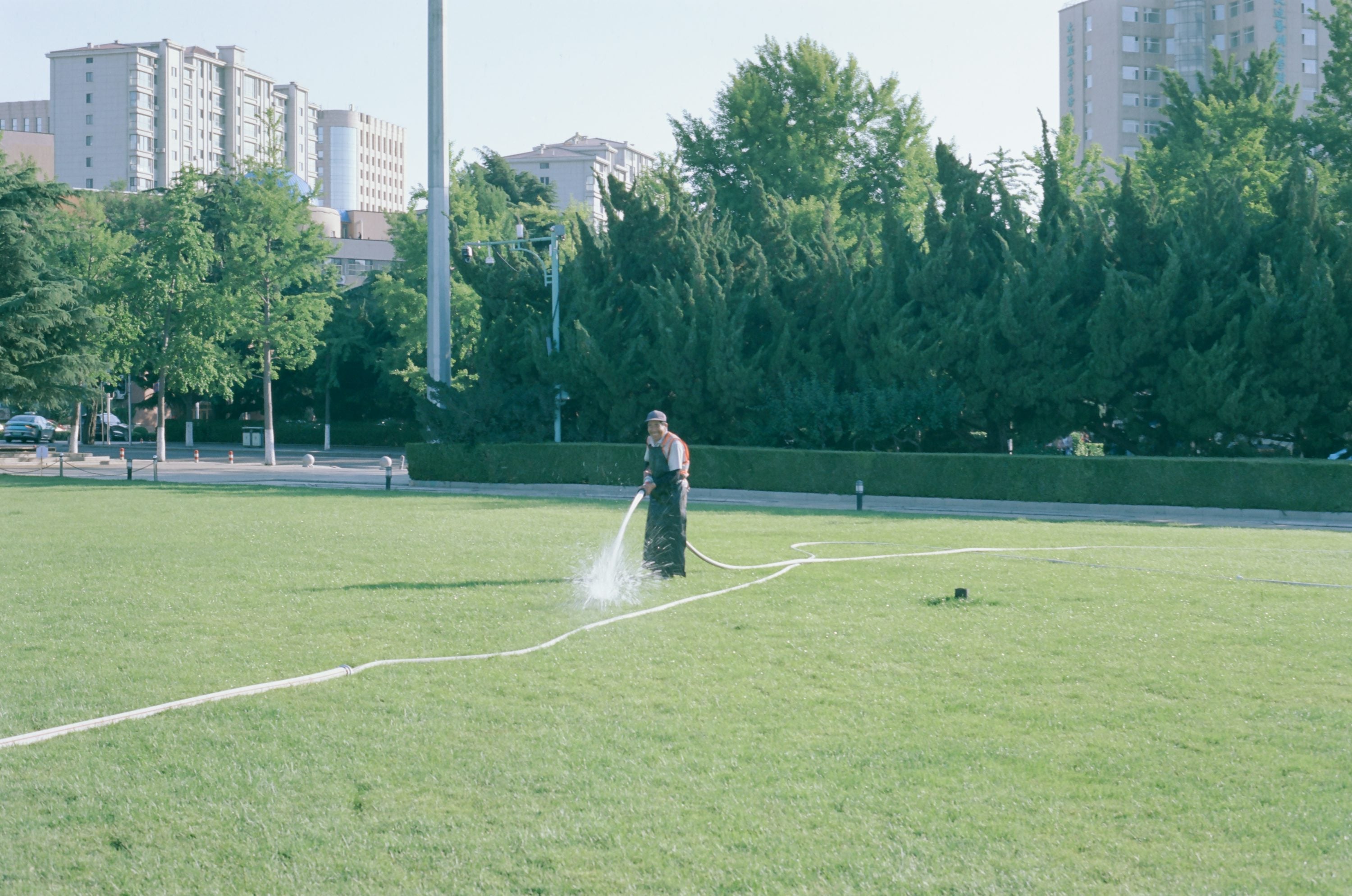Groundskeeper hand-watering grass with a hose