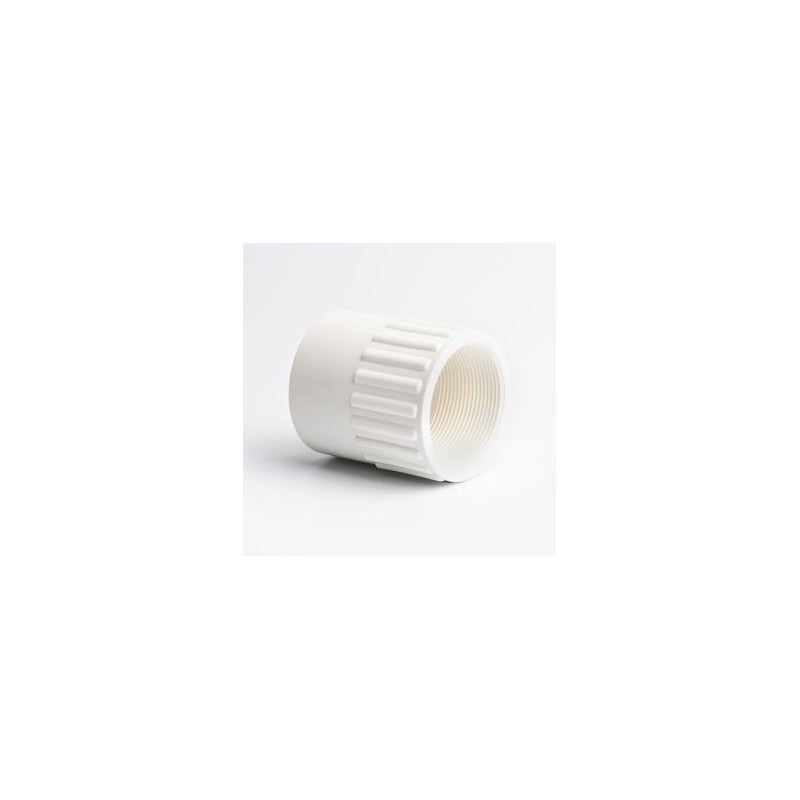 White-Pool Adaptor Plain to BSP (F/F)