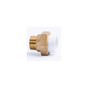 White-Pool Adaptor Composite Union Plain to BSP (F/M)