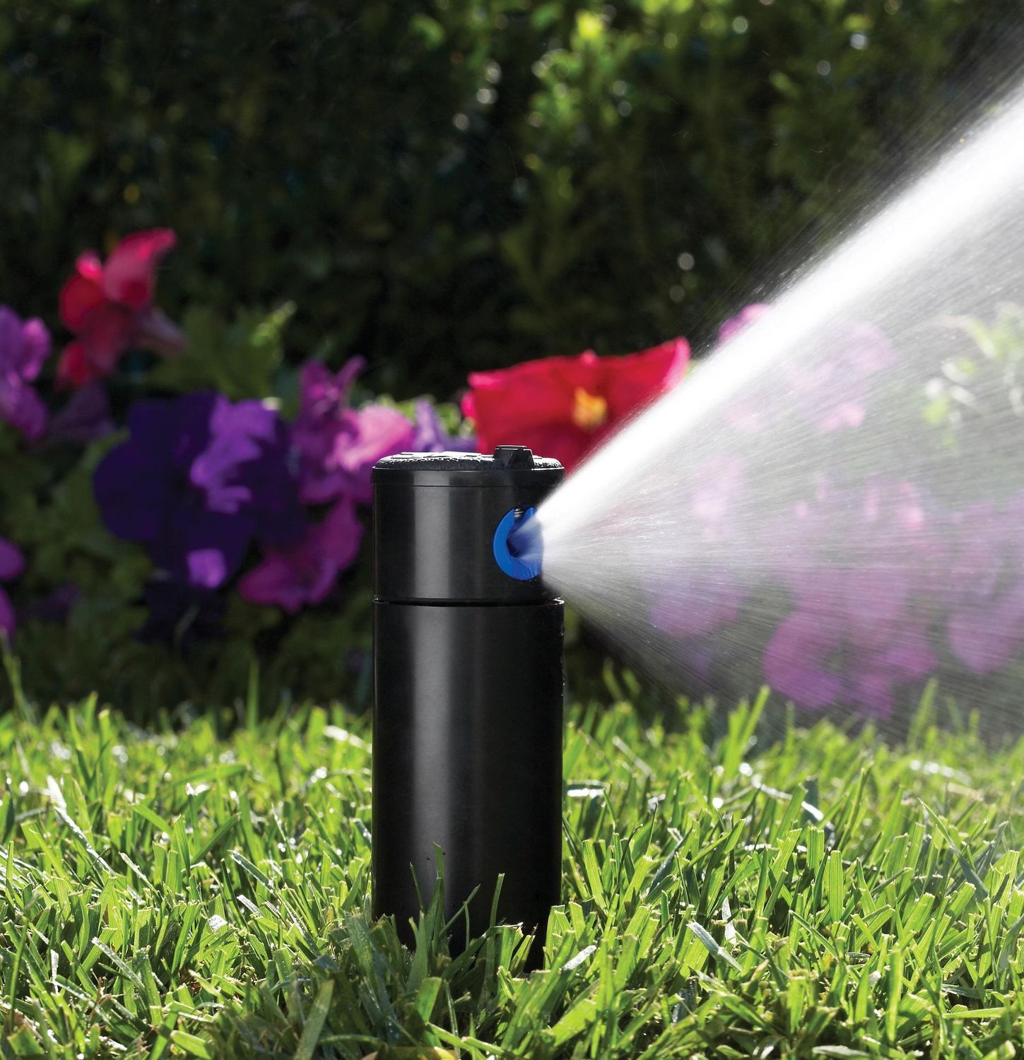Hunter PGP 4" with Check Valve