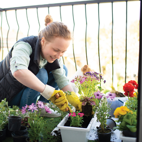 Rain Bird Balcony Watering Kit