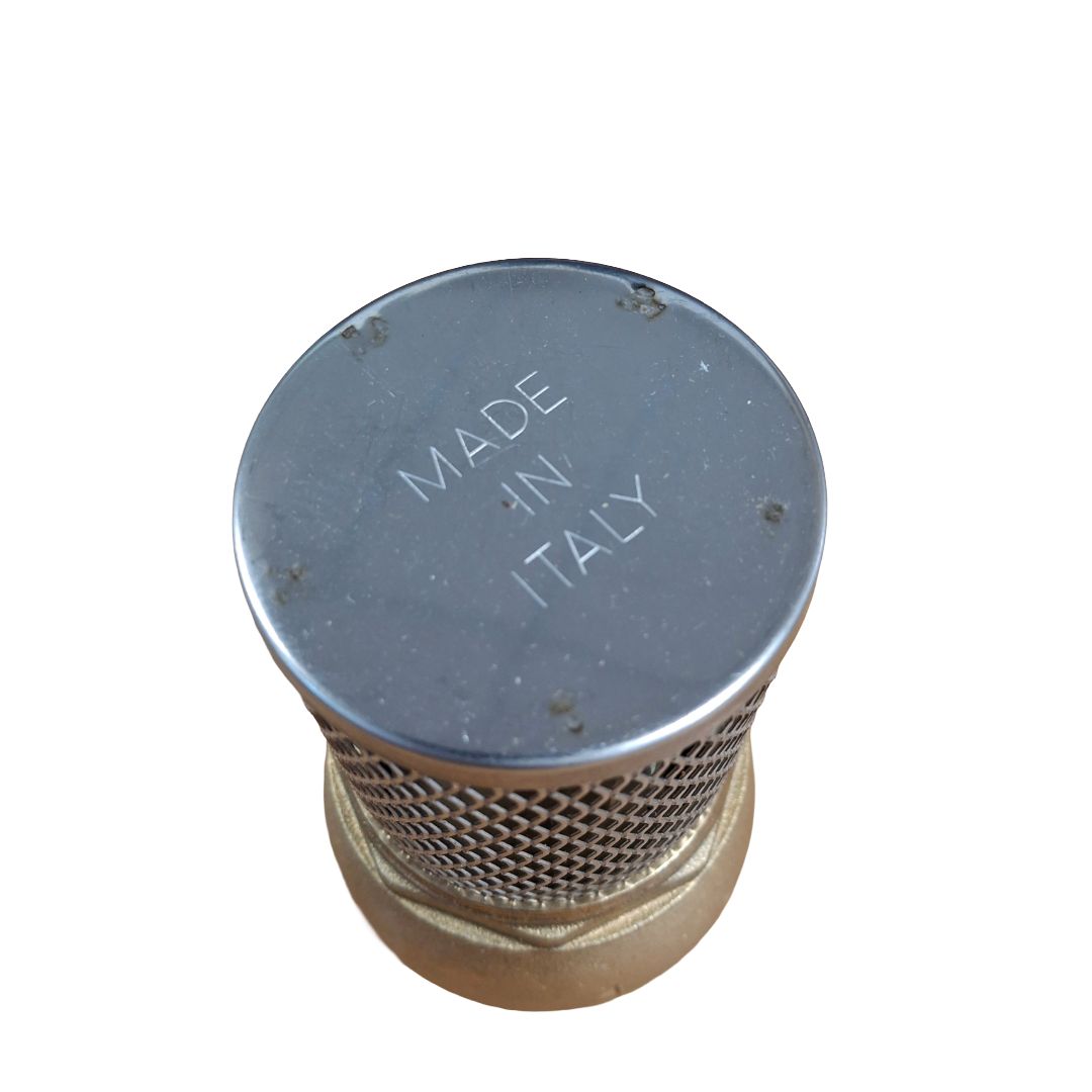 Brass 2" Foot Valve with Stainless Steel Strainer