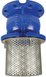 DN80 Cast Iron Foot Valve with Stainless Steel Mesh Strainer