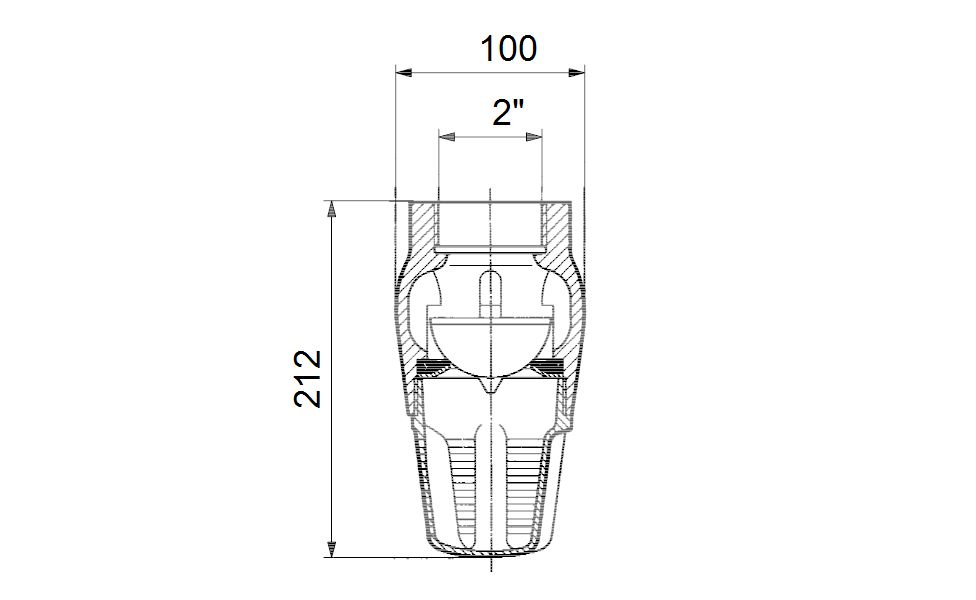 Grundfos 2" Foot Valve