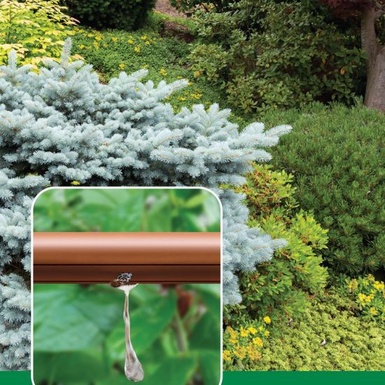 Hose Pipe Ban Watering Kit - Below Ground