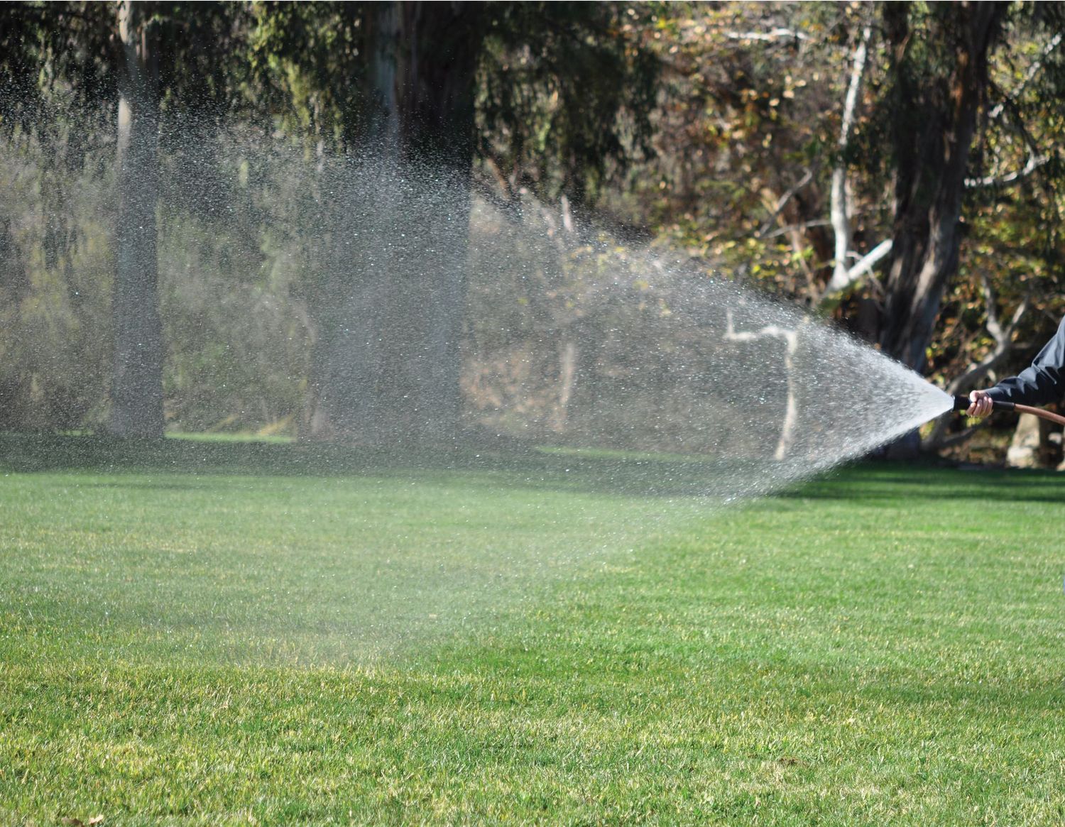 Hunter Spot Shot Hose Nozzle