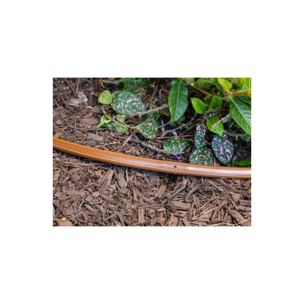 Rain Bird PCD Above Ground Dripline