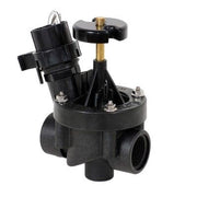 Rain Bird PEB 1" Valve