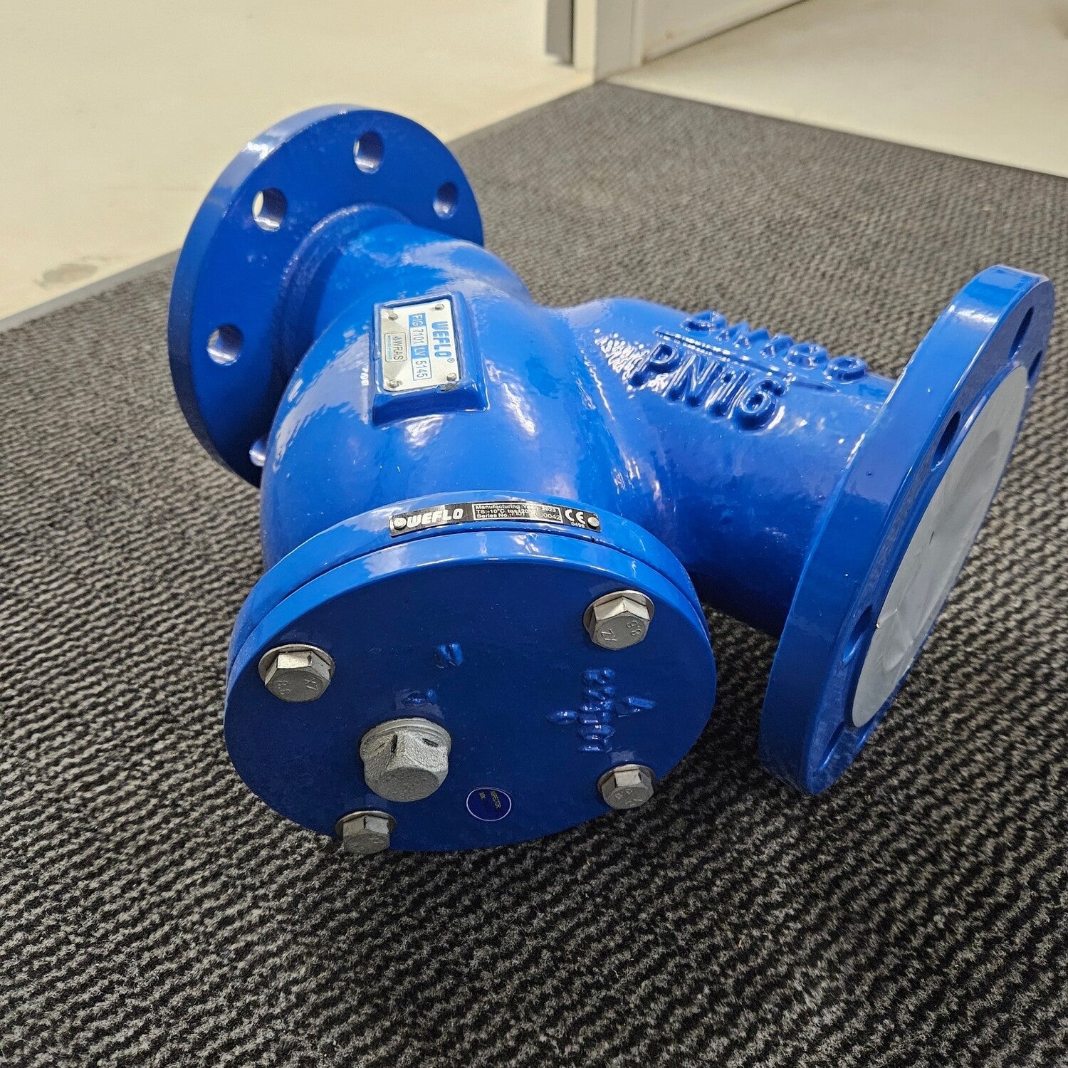 Y-Strainer DN100 4" PN16 Cast Iron Epoxy Coated Flanged 3mm Stainless Screen