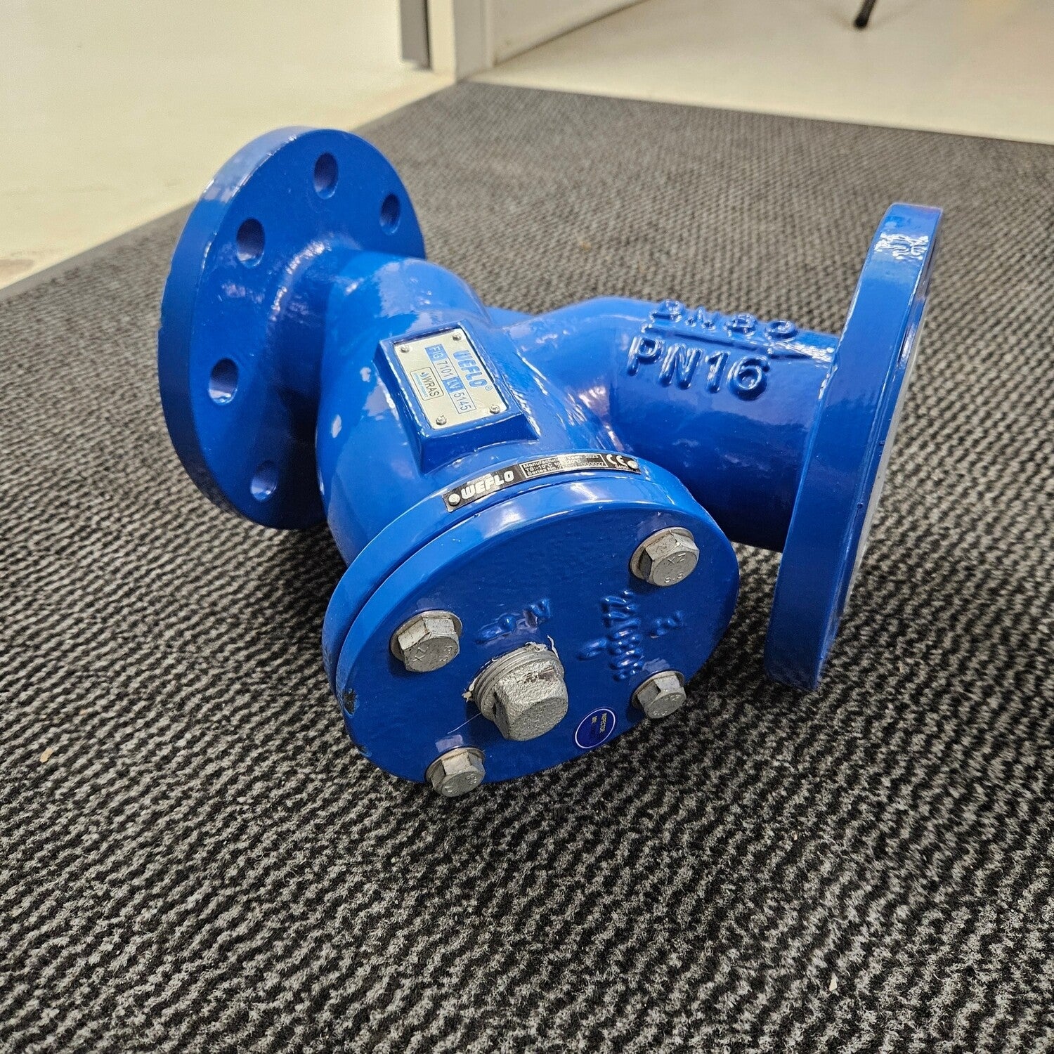 Y-Strainer DN80 3" PN16 Cast Iron Epoxy Coated Flanged 3mm Stainless Screen