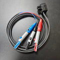 Bailoy Gemini Programming Lead