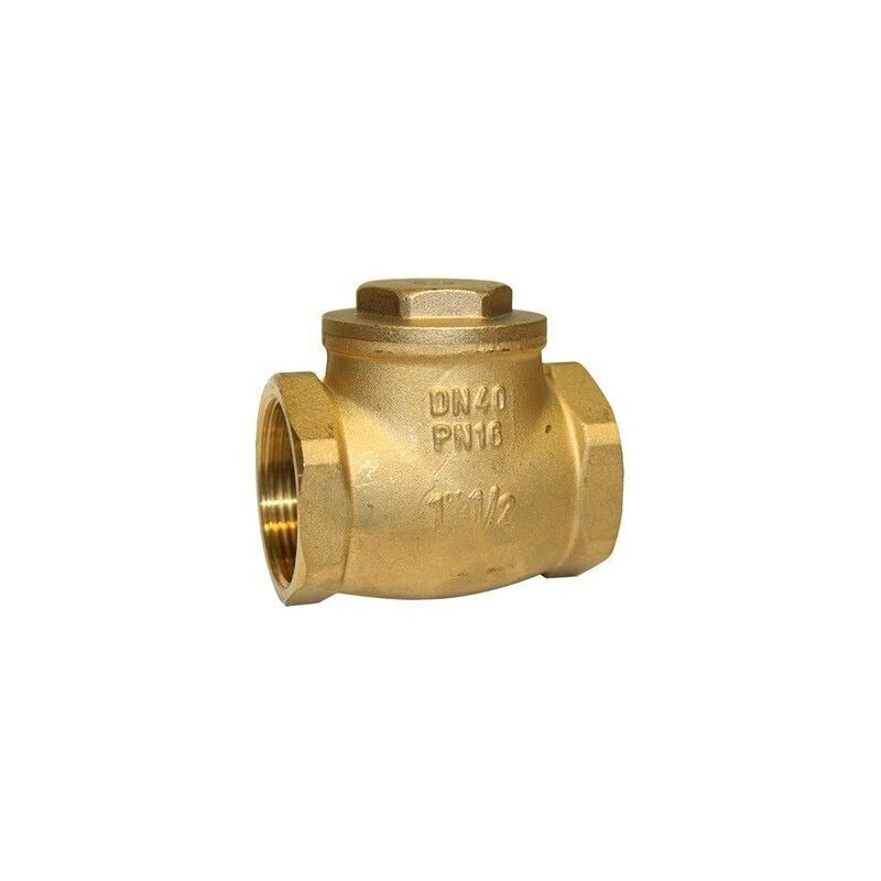 Swing Check Non-Return Valve